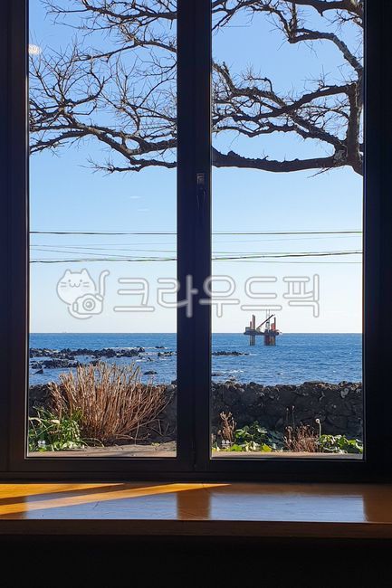 창문,창문프레임,바다,제주바다,돌담,햇빛,나무,하늘,수평선,window