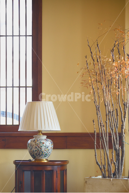 카페,화분,조명,봄,따뜻한감성,warm,감성,sensible,feeling,인테리어,실내디자인,interior design
