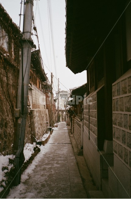 동네,골목,골목길,path,통로,담,담벼락,전봇대,필름,film,필름사진,골목길,alley