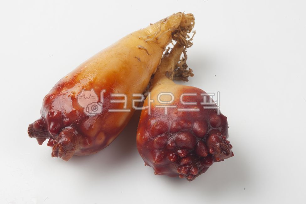 멍게,미더덕,조개,수산물,요리,음식,빨간색,어촌,시장,바다,해산물