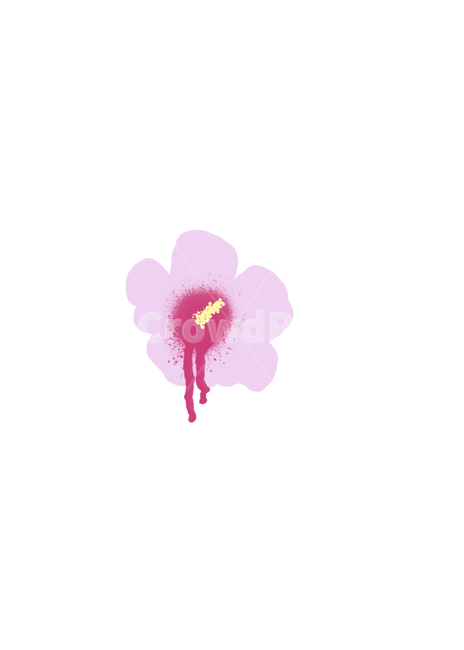 무궁화,삼일절,국화,무궁화일러스트,꽃,그래픽,일러스트레이션,graphic,illustration