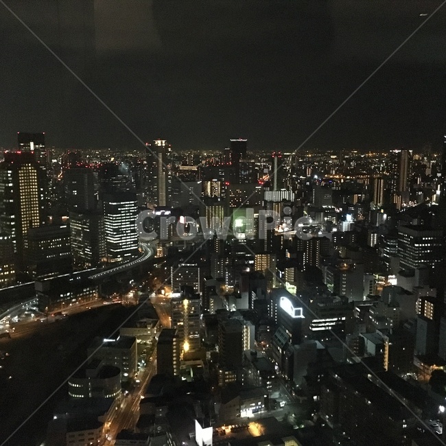 야경,일본,밤,새벽,도쿄,야경,밤,풍경,nightscape,night,landscape,도시,city,nature,자연,경치,outdoors,옥외,scenery,urban,어반,building,건물,metropolis,중심지,town,시티,aerial view,조감도