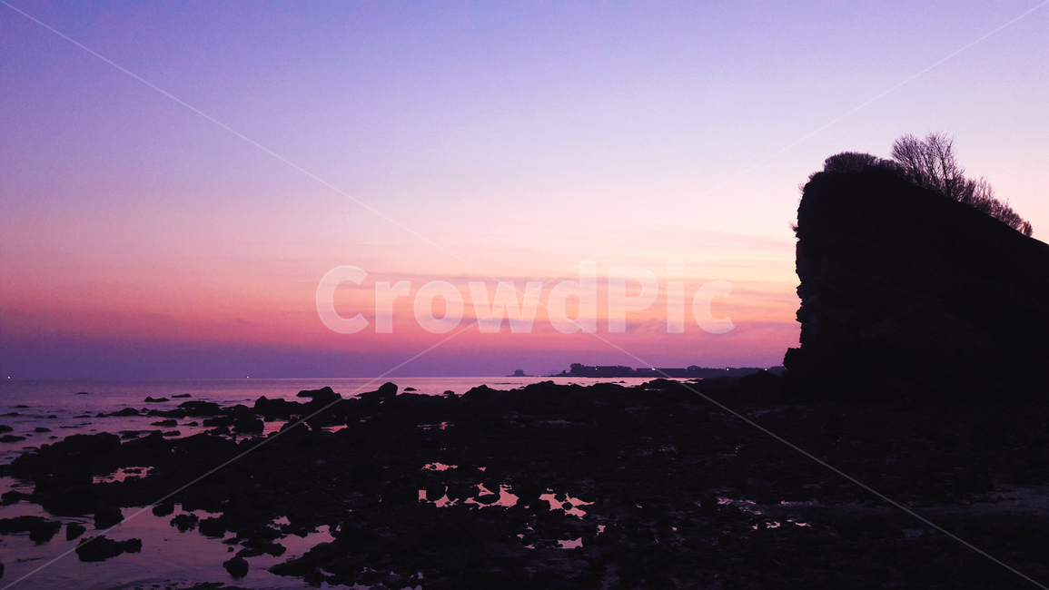 바다,노을,자연,하늘,구름,보라색,분홍색,감성,나무,야경,자연,풍경,nature,landscape,outdoors,옥외