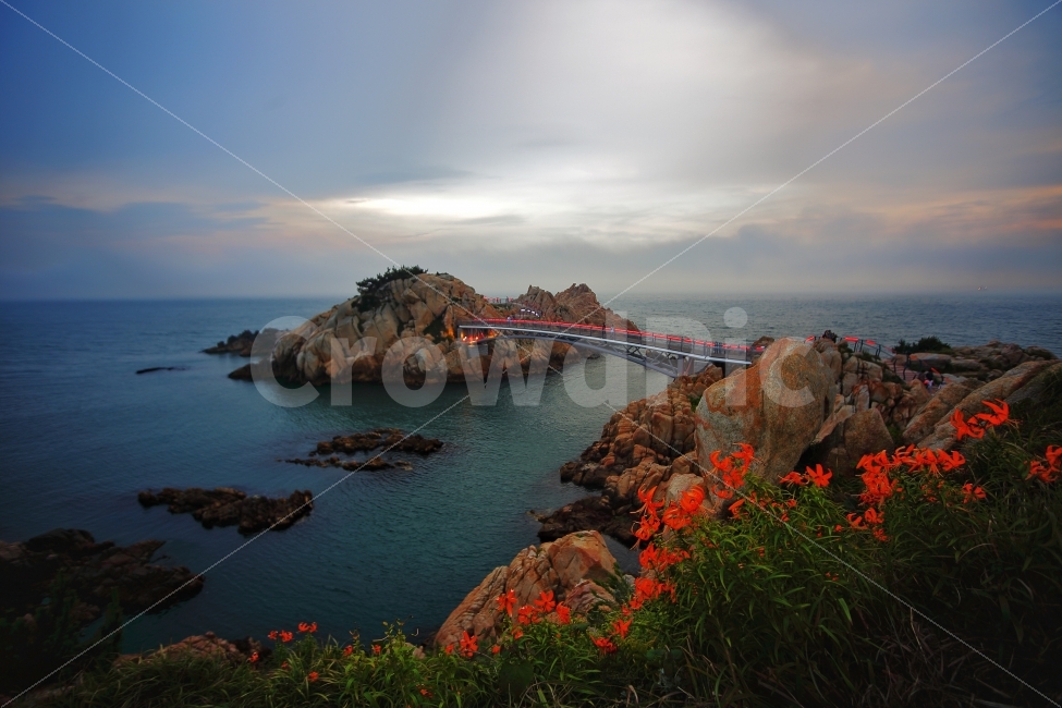 울산,대왕암,다리,풍경,바다,한국,자연,자연,풍경,nature,landscape,outdoors,옥외,land,땅,water,물,shoreline,해안선,ocean,대양,sea,promontory,곶,coast,연안