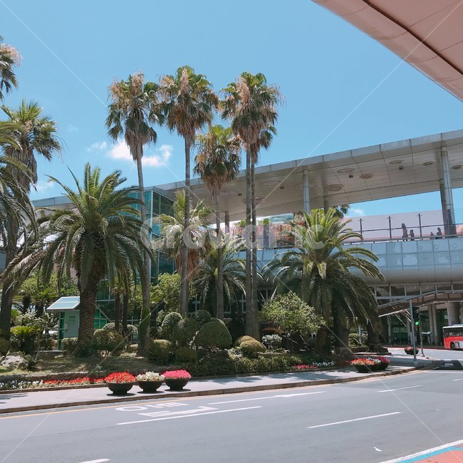 제주공항,제주도,도착,피서,여름,착륙,이륙