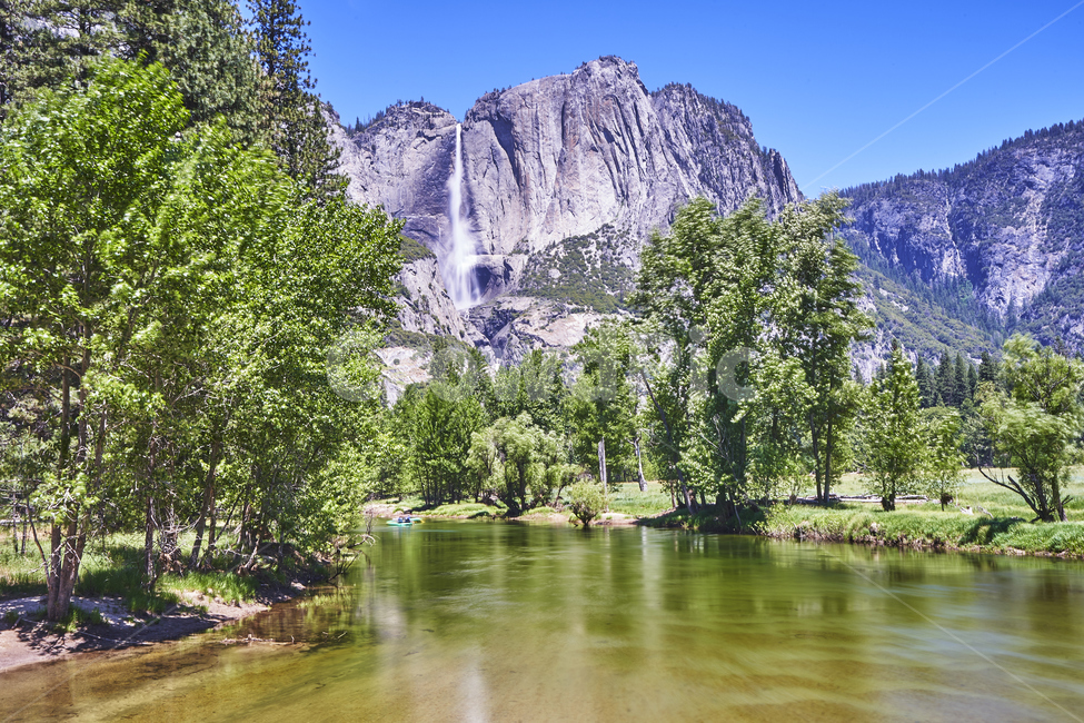 yosemite,요세미티,국립공원,나무,산,풍경,하늘,공원,전망,파노라마,힐링,휴식,자연,풍경,nature,landscape,해외,외국,세계,foreign,oversea,world,세계자연풍경,해외자연풍경,외국자연풍경,world nature landscape,water,물,outdoors,옥외,abies,아비,tree,plant,식물,fir,전나무