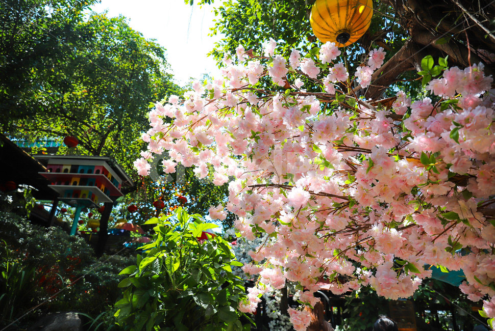 벚꽃나무,벚꽃,페이크,가짜꽃,조화,조화나무,봄,봄꽃,핑크,꽃,pink,blossome,cherryblossome