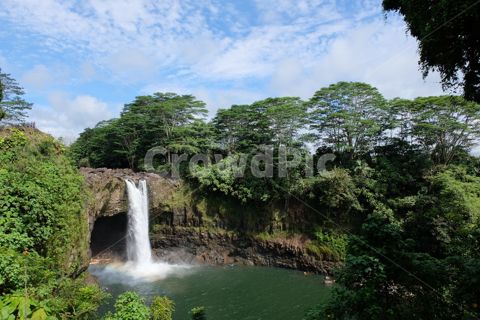 폭포,숲,나무,녹색,푸른,waterfall,forest,trees,green,fresh