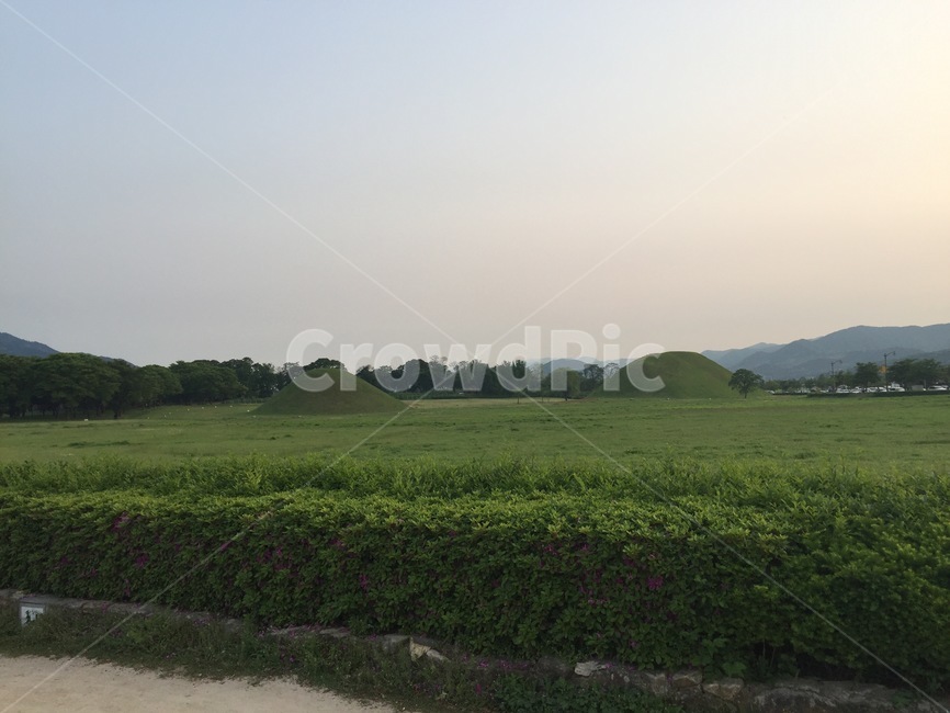경주,황남동,대릉원,릉,묘,gyeongju,daehungwon
