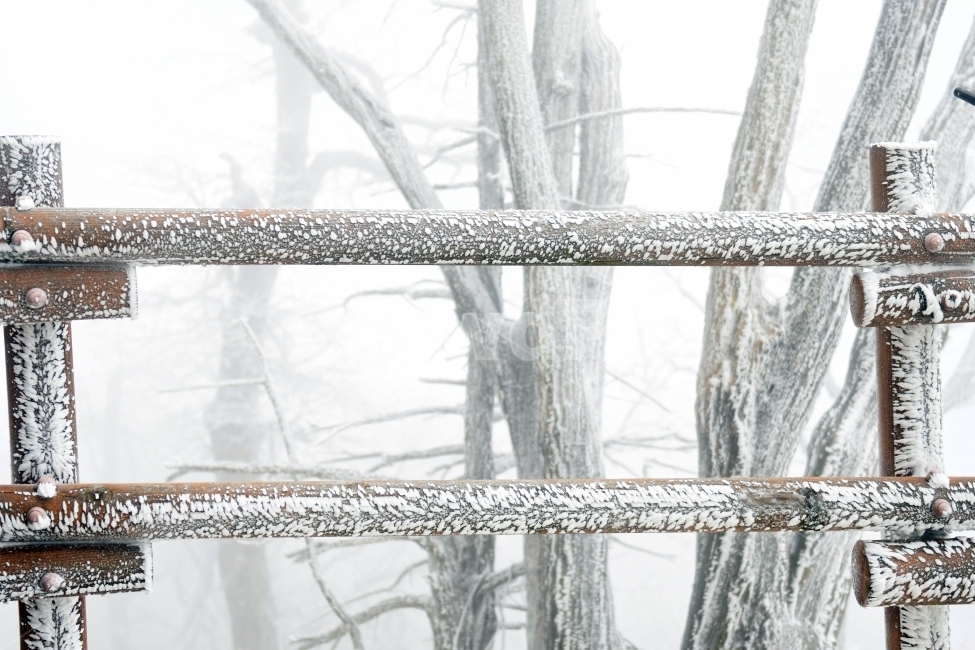 눈,풍경,겨울,눈꽃,상고대,바람,서리,추위,산,나무,겨울,계절,winter,season