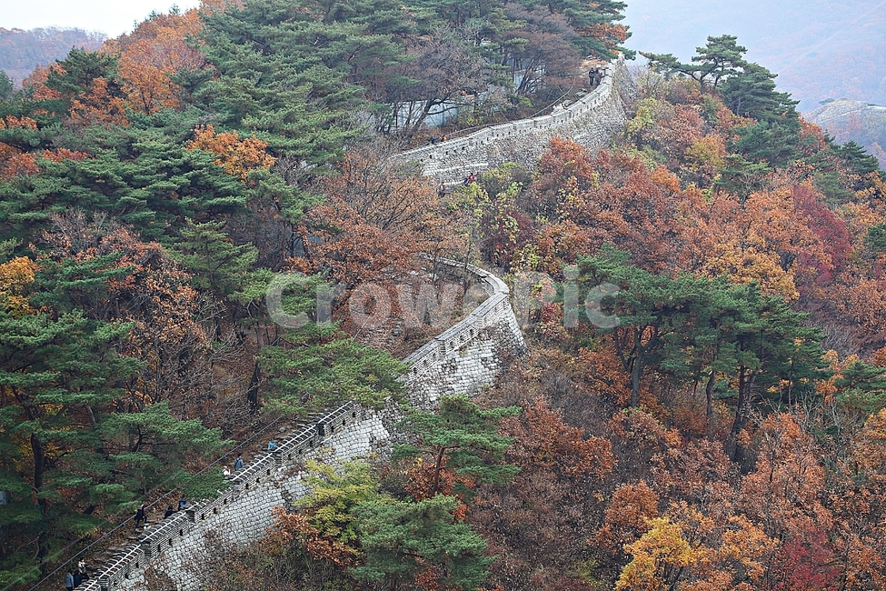 남한산성,성,성곽,단풍,낙엽,길,둘레길,숲,숲길,담,돌담,가을,자연,풍경,벽,울긋불긋,산성,식물,가을,계절,fall,autumn,season
