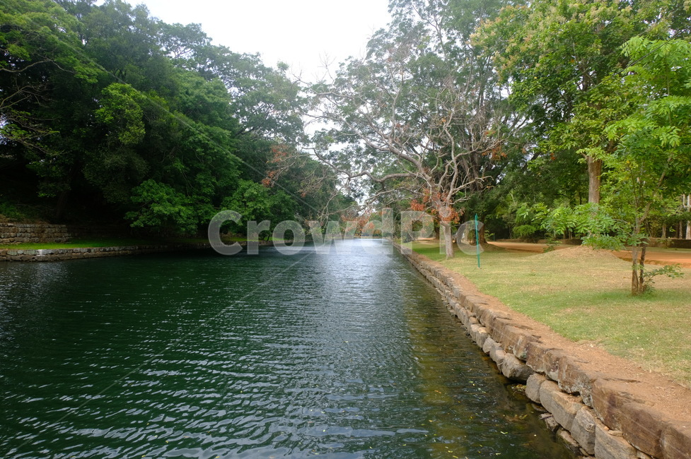 강,물,자연,초록,green,river,자연,풍경,nature,landscape,water,outdoors,옥외