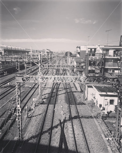rail,레일,기찻길,railway,철도,transportation,교통,traintrack,교통,교통수단,traffic,transportation