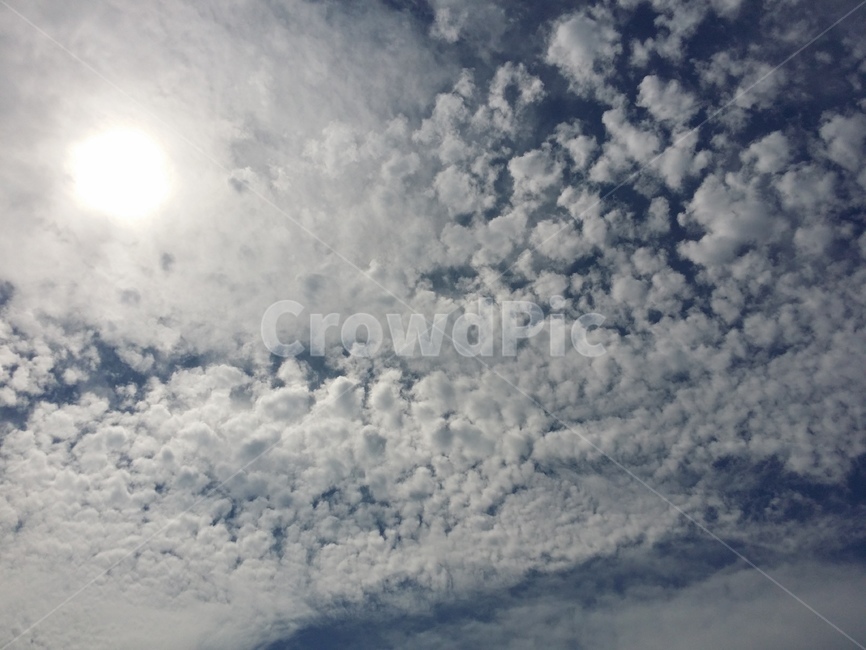 하늘,구름,뭉게구름,파란하늘,자연,자연,풍경,nature,landscape,outdoors,옥외,sky,cloud,weather,날씨,cumulus,적운