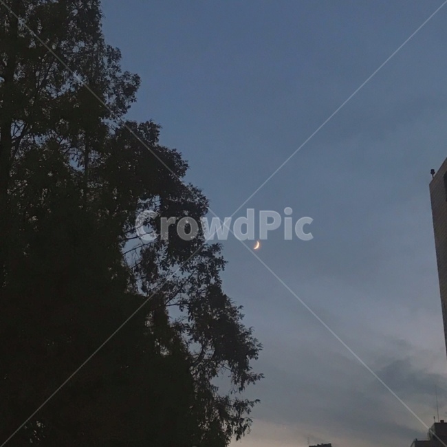 감성사진,자연풍경,하늘,밤,야경,나무,식물,감성,자연,풍경,sky,night,nightview,tree,plants,nature,자연,풍경,nature,landscape,야경,밤,nightscape,night