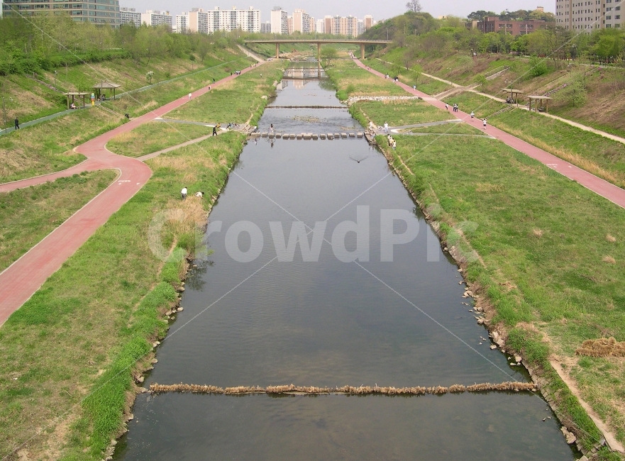 강,하천,개천,양재천,강남구,다리,돌다리,환경,도시,풍경,city,landscape,ditch,도랑,water,물,outdoors,옥외