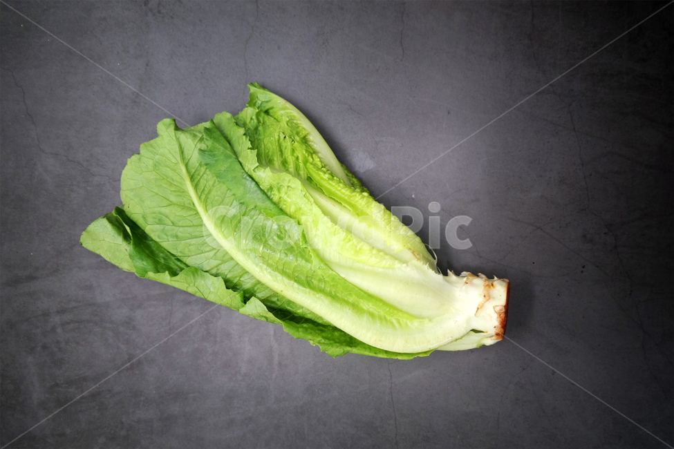 채소,야채,상추,로메인,샐러드,녹색,건강,채식주의자,채식,vegetable,lettuce,건강,헬스웨어,헬스케어,healthware,health care,채소,야채,vegetables