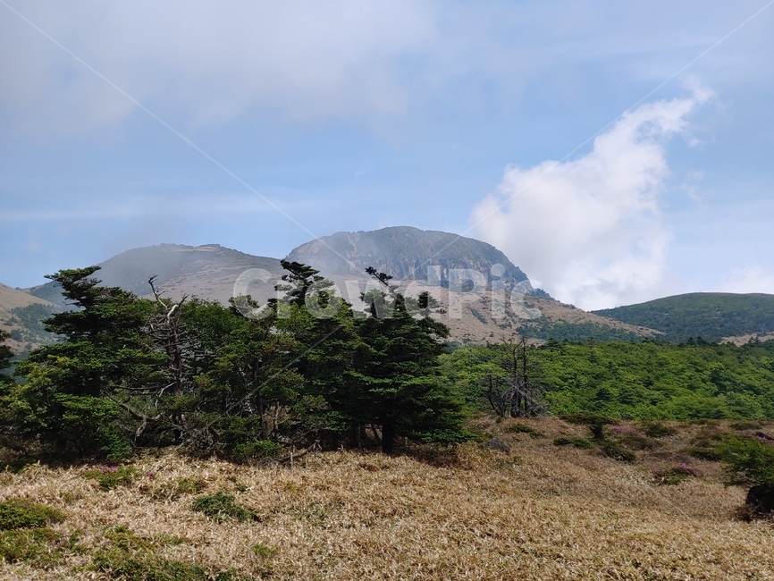 산길,산,하늘,등산로,구름,mountain,sky,clouds,green,초록,한라산,배경,맑은,sunny,peak,백록담