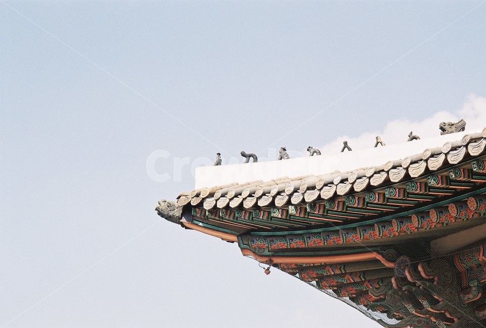 절,필름사진,필름카메라,하늘,분위기,감성