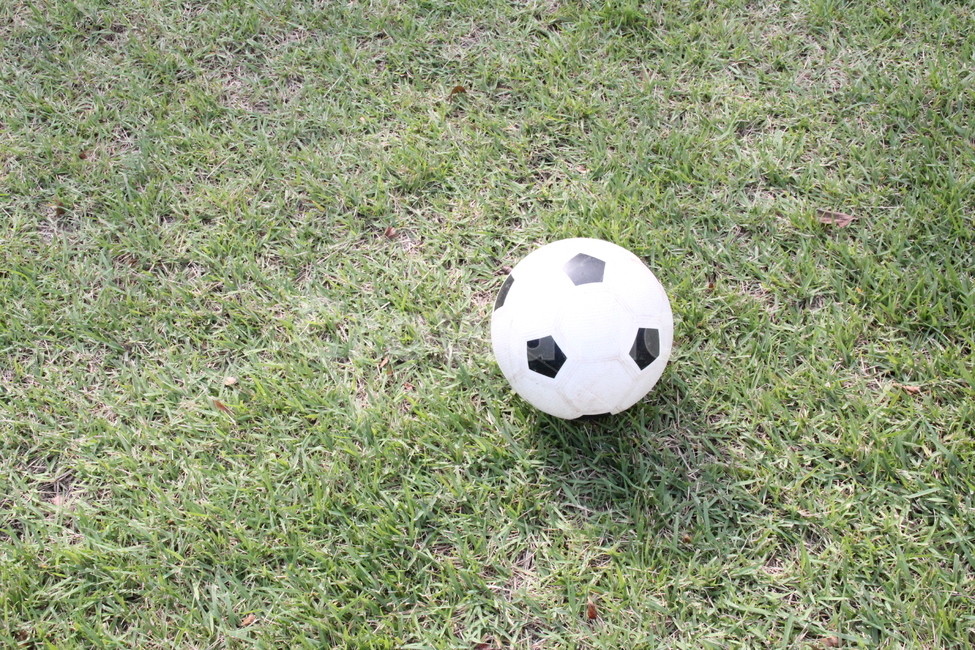 축구,축구공,잔디와축구공,잔디,풀밭,공,배경,soccer,team,팀,스포츠,soccerball,football,팀스포츠,여행,나들이,운동,운동기구,스포츠,레저,운동,sports,leisure,exercise