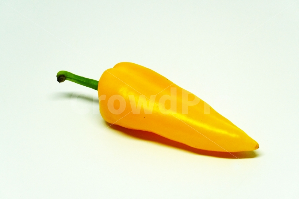 파프리카,누끼,사물,물건,오브젝트,고추,야채,채소,식재료,요리,반찬,cook,음식,음식재료,Paprika,식물,열매,과일,fruit,누끼사진,레시피,음식,식재료,요리,food,cook,meal,dishes,food reserves,채소,야채,vegetables,누끼,remove background