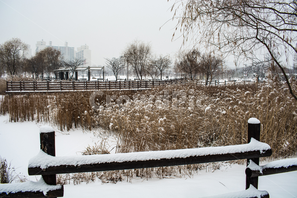 눈발,흰눈,백설,겨울풍경,눈길,겨울,계절,winter,season,도시,풍경,city,landscape,한국도시풍경,한국도시경관,korea cityscape,banister,난간,handrail