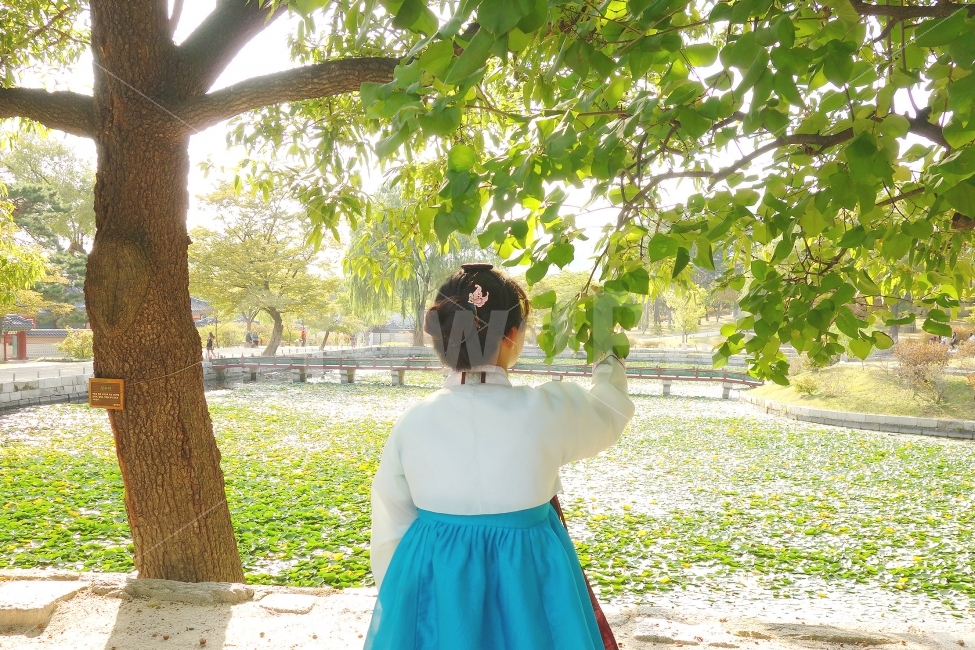 자연,한복,사람,한국,궁,경복궁,전통적,색감,소녀,여자,korea,hanbok,girl,풍경,풍경사진,휴식,힐링,rest,relaxation,healing,한국전통,한국문화,korean traditional,korean culture,한복,한국전통의상,hanbok,korean traditional clothes,사람,인물,인간,human,person,여성,여자,woman,female,lady,연출,컨셉,콘셉,direction,concept