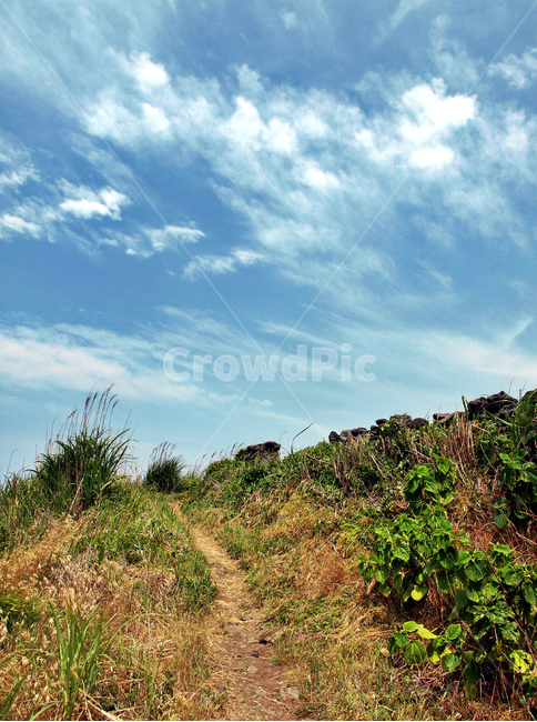 올레17코스,올레,제주,푸른하늘,흰구름,자연,자연,풍경,nature,landscape,제주도,jeju,jeju island,ground,바닥,road,도로,dirt road,흙길,gravel,자갈