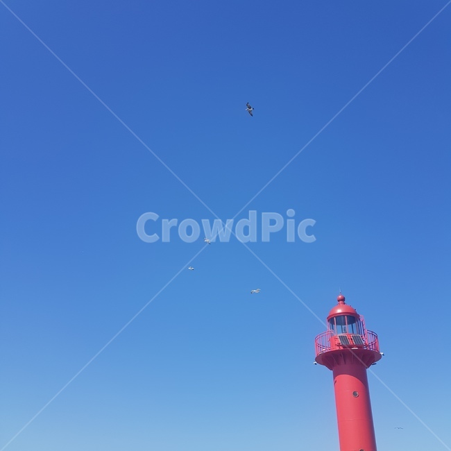 등대,하늘,갈매기,gull,lighthouse,시원한,빨간,높은,가을,파란,red,새,동물,풍경,자연,등대,lighthouse