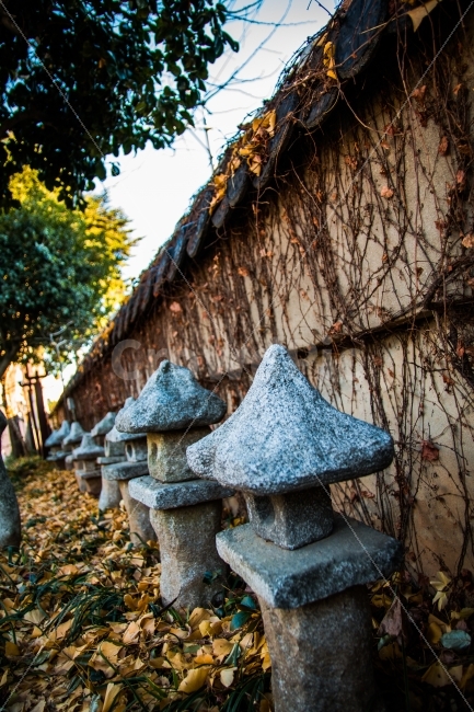 단풍,가을,겨울,벽,낙옆,한국전통,한국문화,korean traditional,korean culture