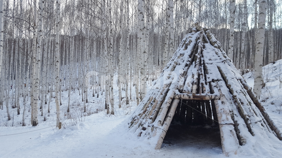 pure white world,birch tree,Inje,frozen kingdom,winter,white world,white snow,whispering birch forest,Gangwondo,Wondaeri,white winter,birch forest,snow