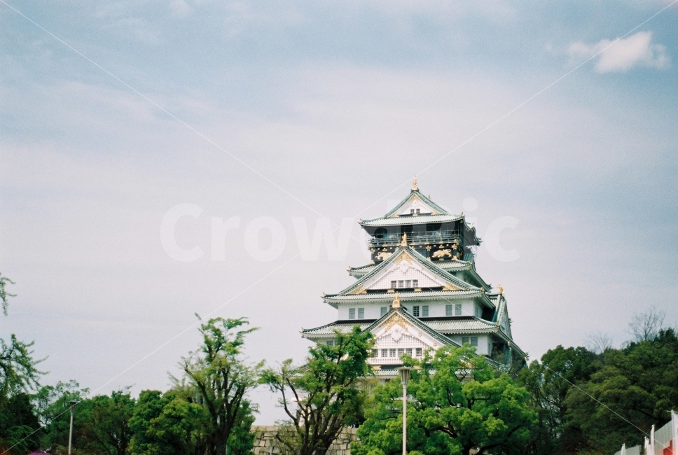 일본,오사카,오사카성,필름사진,Osaka,해외,외국,세계,foreign,oversea,world,랜드마크,landmark,tourist attraction,감성,sensible,feeling