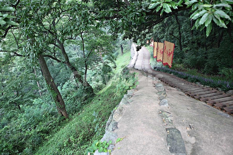 공주산성,산성,성,성곽,길,둘레길,숲,숲길,안개,돌담,담,여름,풍경,벽,방어벽,흙담,나무,식물,유네스코등제