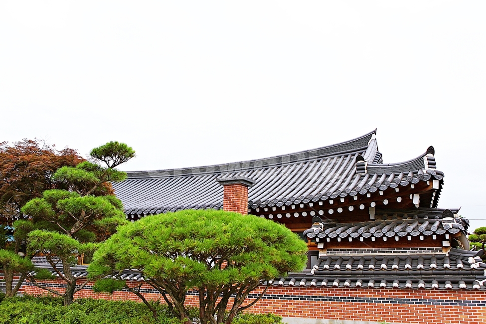 한옥,한옥집,전통집,기와집,집,풍경,기와