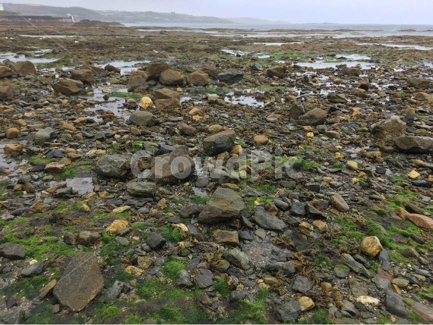 영국,환경,자연,마라지온,해변,바위,썰물,이끼,해초,흐림,자연,풍경,nature,landscape,해변,바다,beach,sea,ground,바닥,rubble,파편