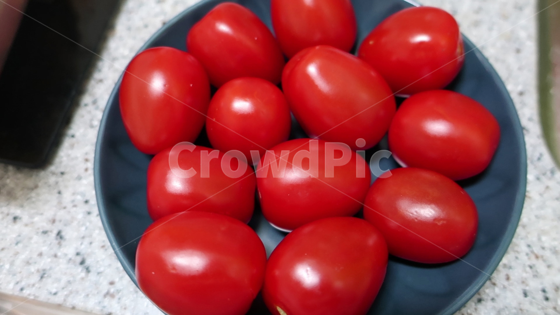 plant,식물,토마토,tomato,방울토마토