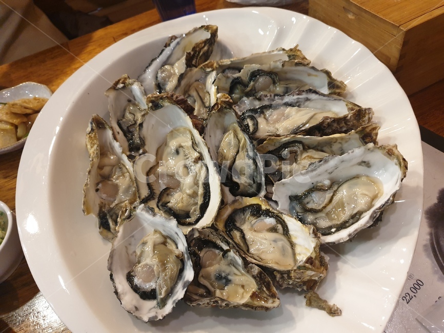 굴,석화,한식,양식,dish,cook,meal,요리,식사