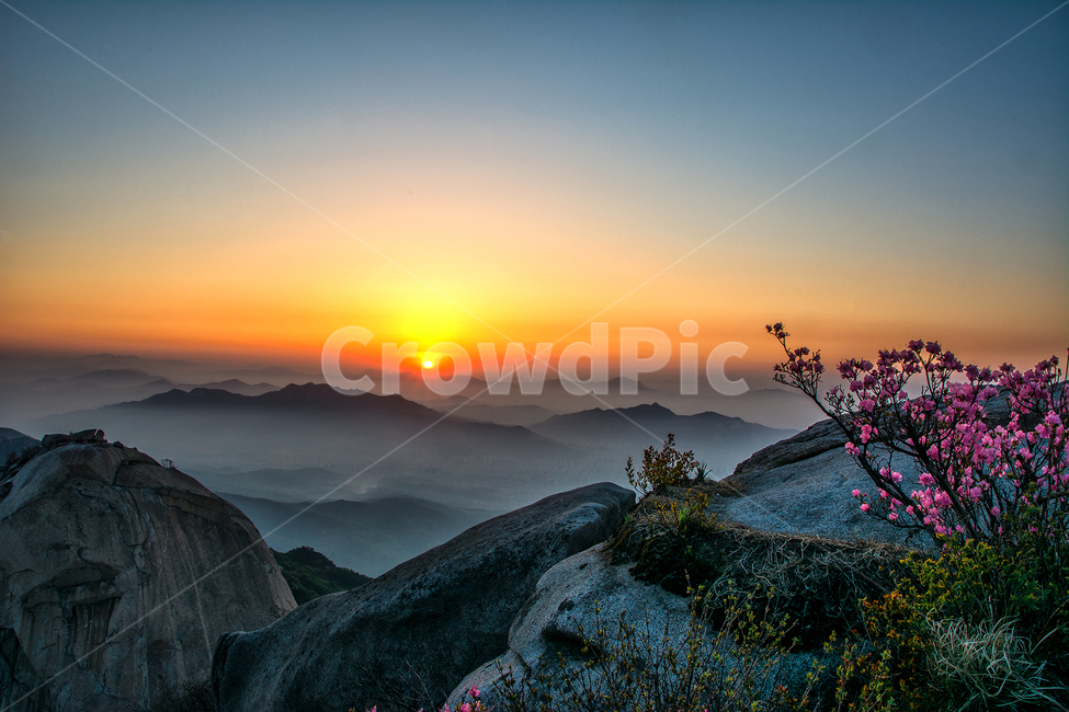 풍경,북한산,삼각산,일출,진달래,인수봉,자연,풍경,nature,landscape,한국자연풍경,한국자연경관,korea nature landscape,outdoors,옥외