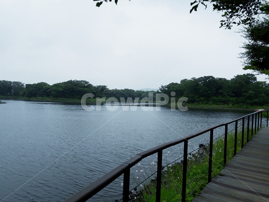 자연,새벽,공원,호수,조깅전경,자연,풍경,nature,landscape,railing,난간,banister,handrail