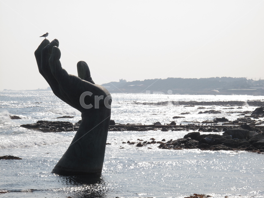 호미곶,상생의손,포항,영일만,호미곶해맞이광장,바다,파도,갈매기,구름,하늘,파란하늘,손조형물,sea,wave,seagull,gull,cloud,sky,bluesky,hand,실루엣,역광,silhouette,backlight,counterlight,G10,canonG10,캐논G10,canon,캐논,자연,풍경,nature,landscape,한국자연풍경,한국자연경관,korea nature landscape,해변,바다,beach,sea,랜드마크,landmark,tourist attraction,한국랜드마크,한국관광지,한국명소,korea landmark,korea tourist attraction,조각상,동상,석상,조형물,statue,bronze statue,stone statue,water,물,outdoors,옥외,ocean,대양