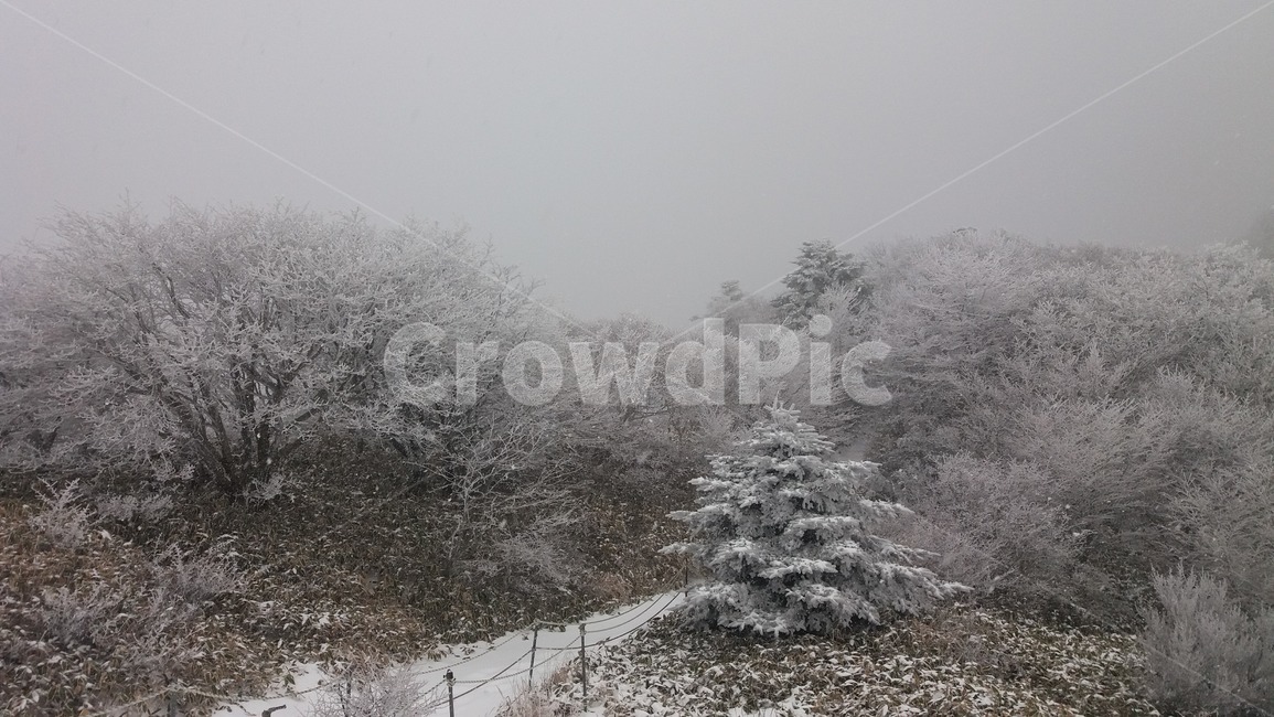 설산,한라산,정상,눈덮힌산,눈보라