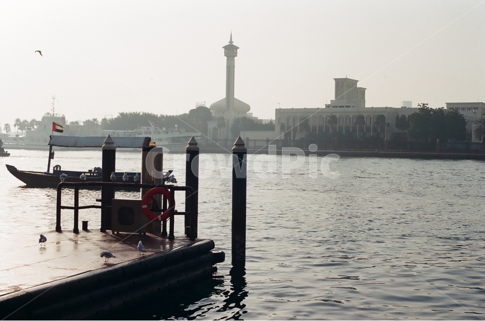강,갈매기,외국,감성,역광,gull,seagull,dubai,abudabi,배,ship,두바이,아부다비,해외,세계,세계풍경,자연풍경,자연,도시,감정,landscape,world,feeling,emotion,도시,풍경,city,landscape,해외,외국,세계,foreign,oversea,world,세계도시풍경,해외도시풍경,외국도시풍경,world cityscape,감성,sensible,feeling,교통,교통수단,traffic,transportation,water,물,waterfront,워터 프론트