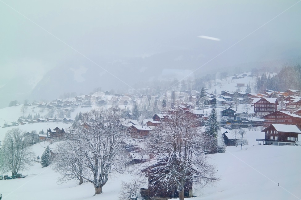스위스풍경,스위스겨울,스위스집,눈덮힌집,눈오는스위스,겨울,계절,winter,season