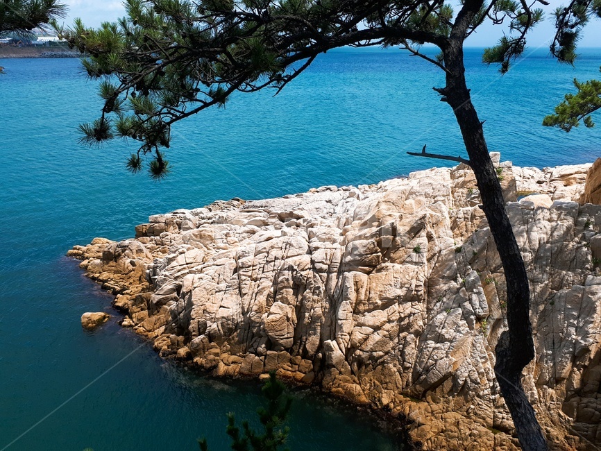 울산,대왕암,바위,소나무,바다,저,절경,풍경,여름,nature,자연,자연,풍경,nature,landscape,한국자연풍경,한국자연경관,korea nature landscape,promontory,곶,outdoors,옥외,cliff,낭떠러지,water,물