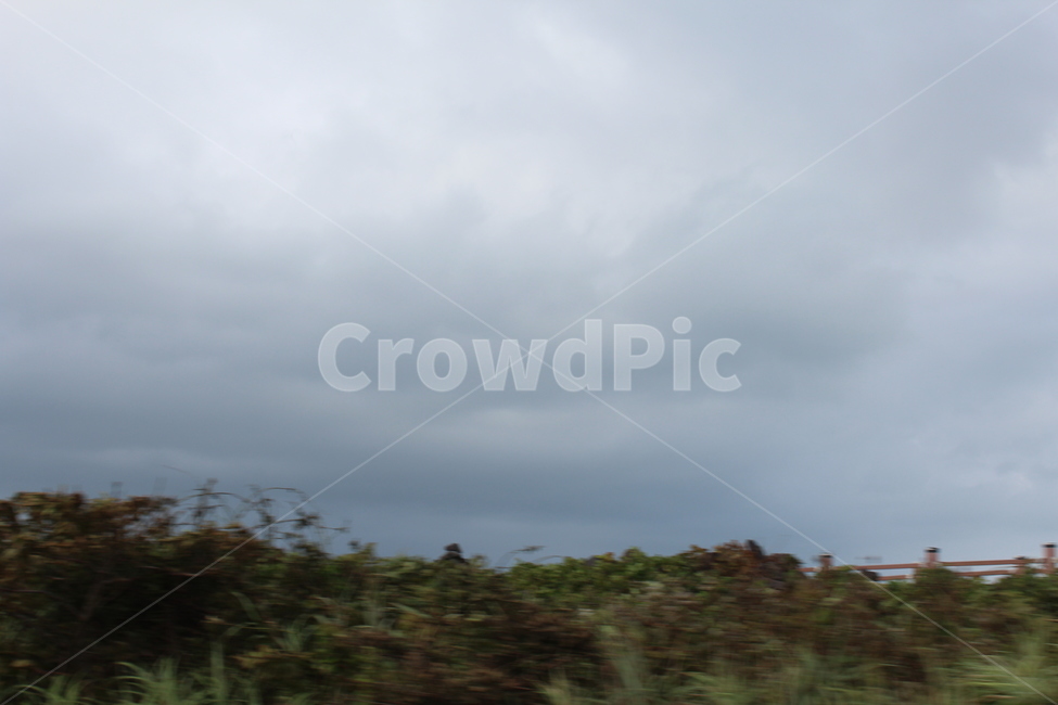 nature,자연,outdoors,옥외,바다,sea,ocean,해양,물,water,하늘,sky,구름,풀,grass,제주,제주도,자연,풍경,nature,landscape