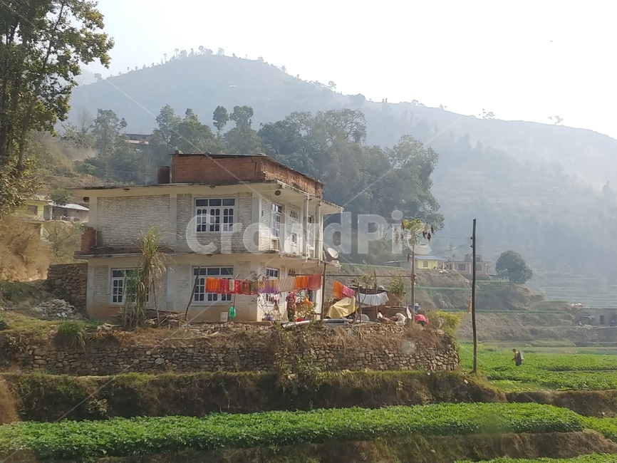 네팔,집,풀,벽돌집,계단식논,시골,마을,풍경,landscape,country,rural,town