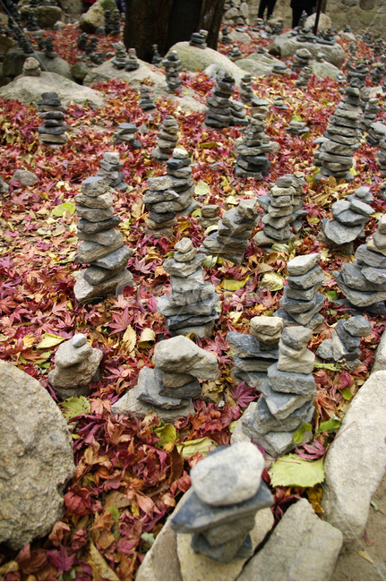 가을,fall,식물,plant,낙엽,단풍,돌탑,가을,계절,fall,autumn,season,leaf,잎,ground,바닥