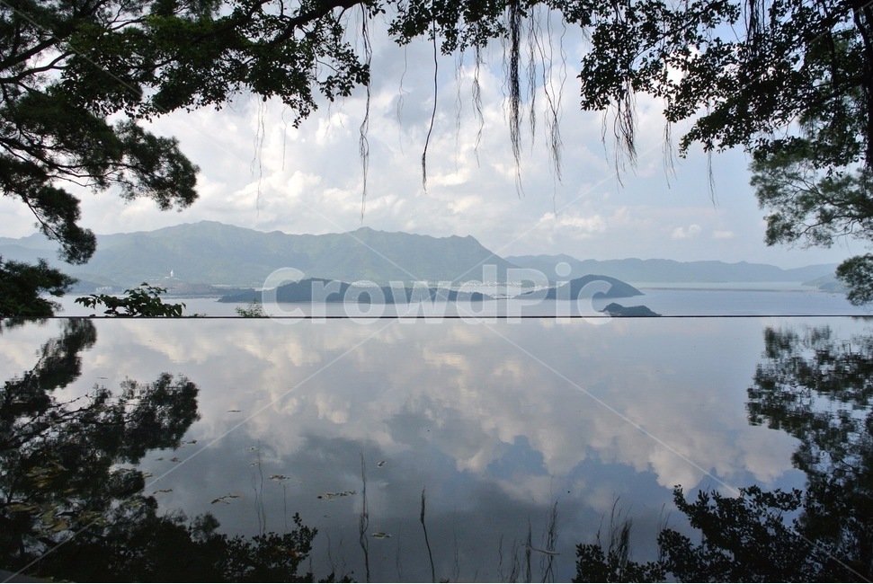 연못,그림자,자연,비침,호수,하늘,공원,물,홍콩중문대,홍콩,구름,hongkong,pond,반사,reflection,water