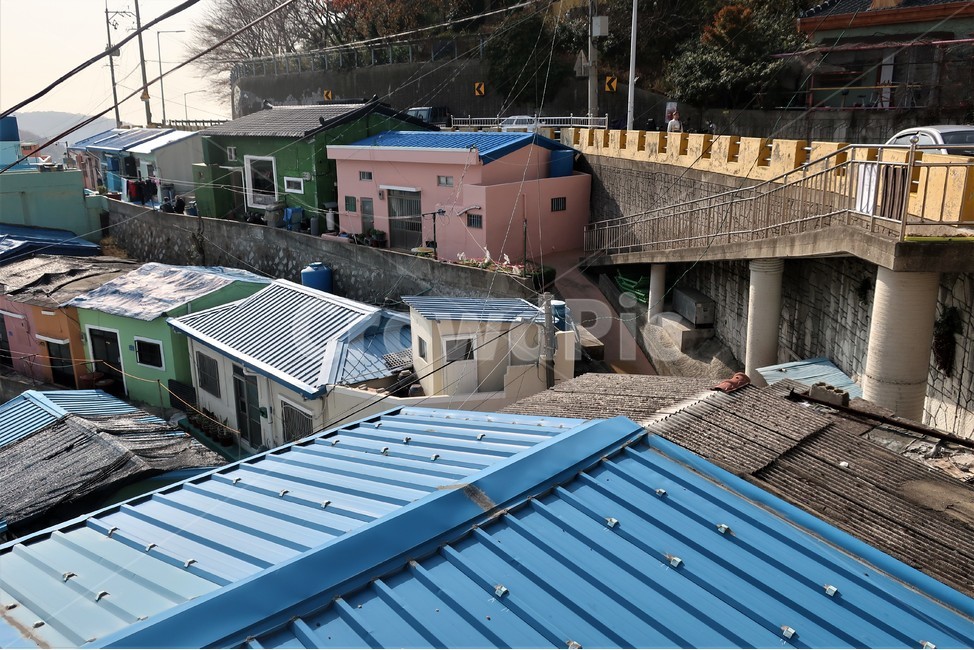 부산,감천,마을,언덕,동네,감천문화마을,골목,풍경,감성,색감,명소,관광지,필수코스,도시,풍경,city,landscape,한국도시풍경,한국도시경관,korea cityscape,roof,지붕
