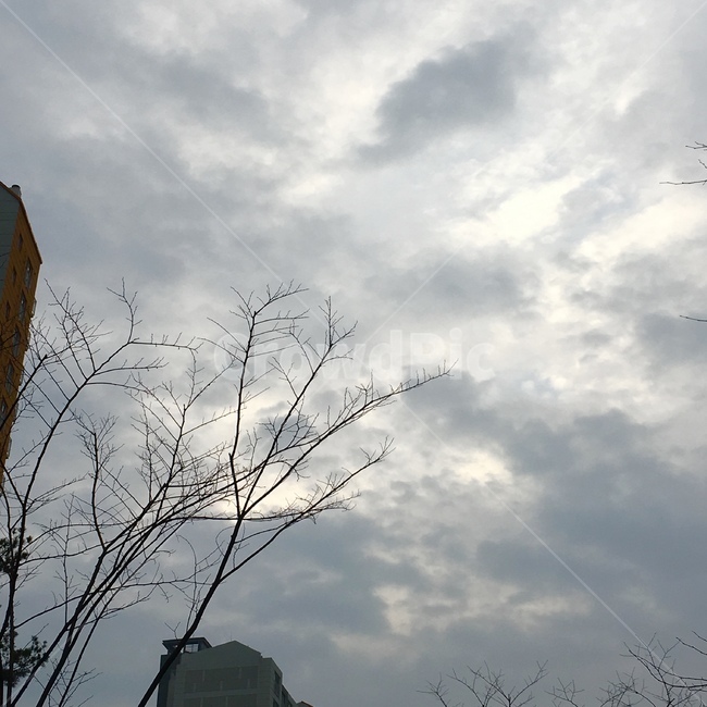 감성,겨울감성,차가운,하늘,빛,자연,풍경,nature,landscape